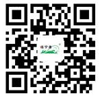 the qr code